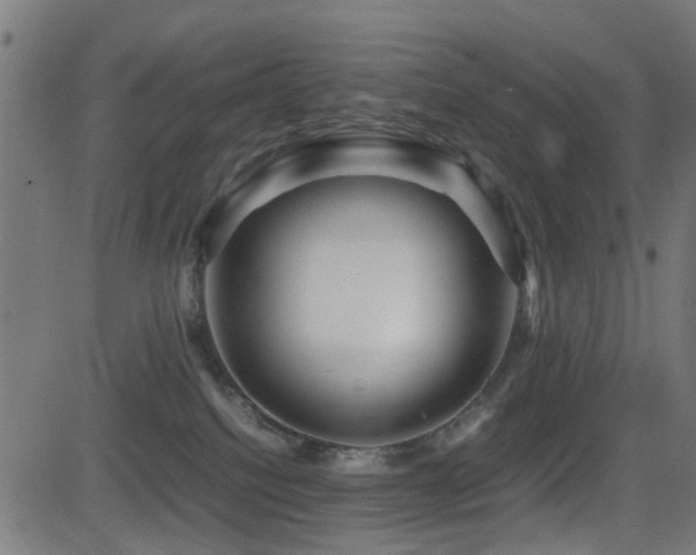 X0000081450088200701121243