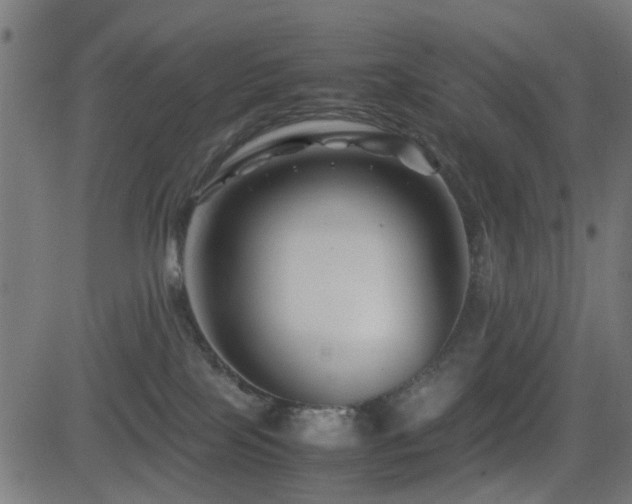 X0000081450089200701121243