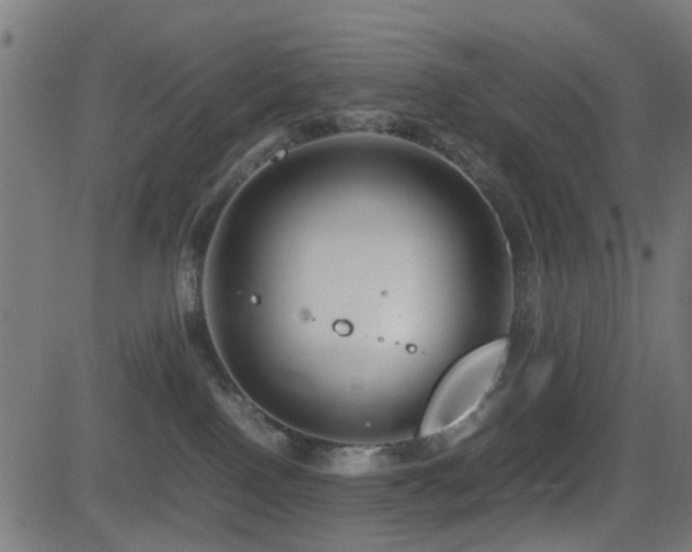 X0000081450090200701121243