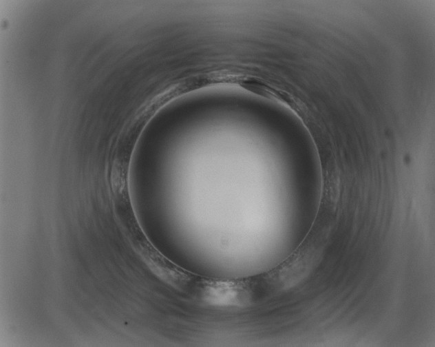 X0000081450091200701121243