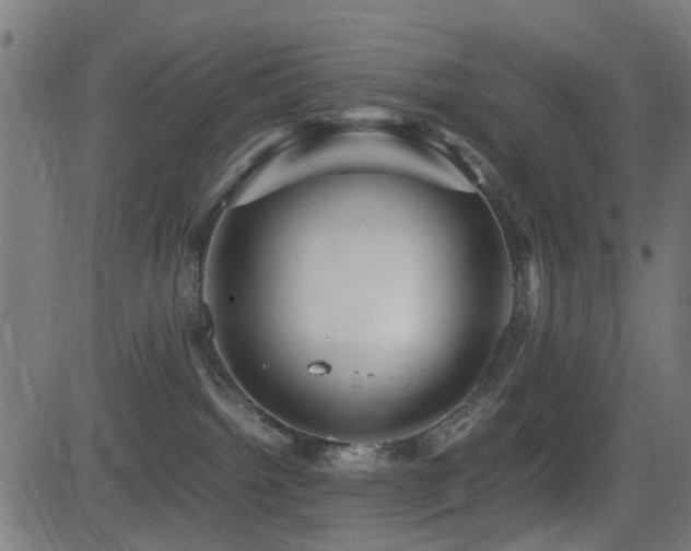 X0000081450092200701121243