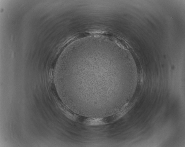 X0000081450093200701121243