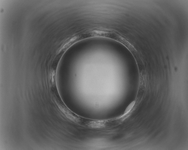 X0000081450094200701121243