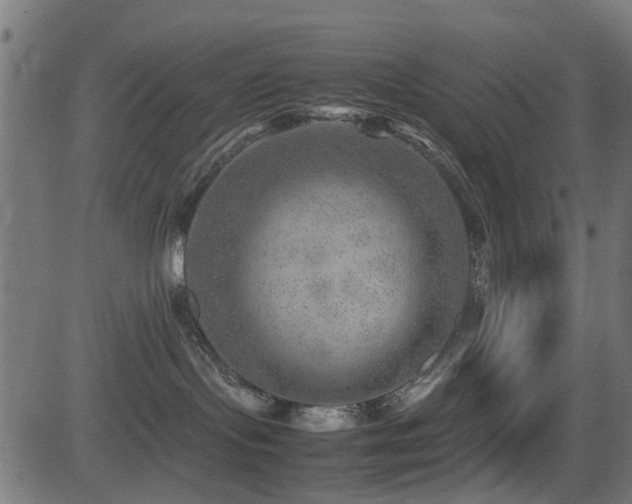 X0000081450095200701121243