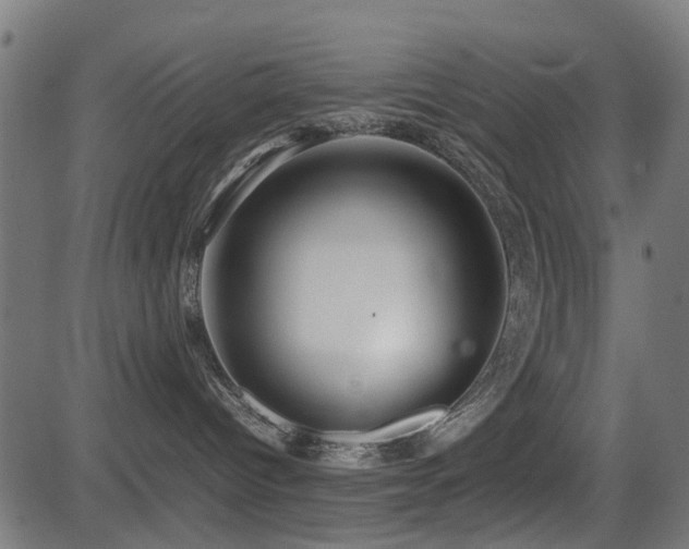 X0000081450096200701121243