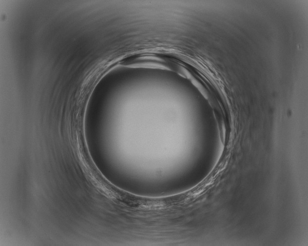 X0000081450097200701121242