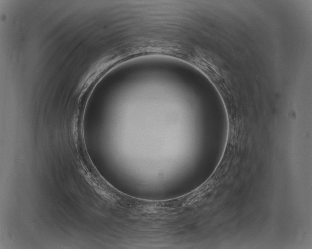 X0000081450098200701121242