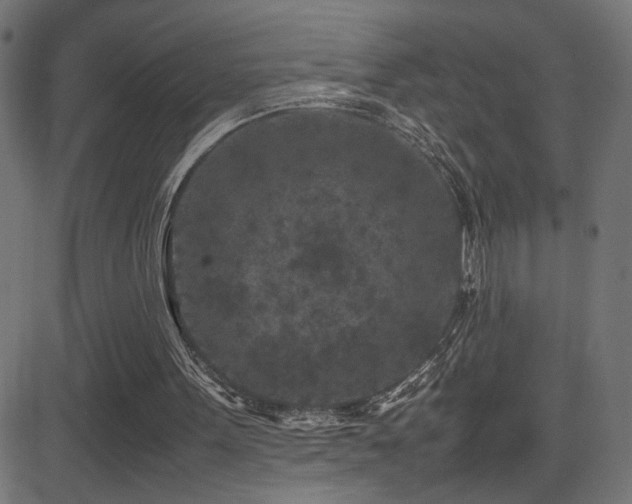 X0000081450099200701121242