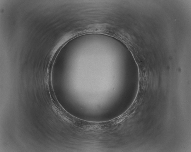 X0000081450100200701121242