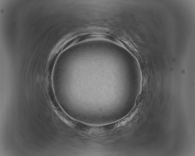 X0000081450101200701121242