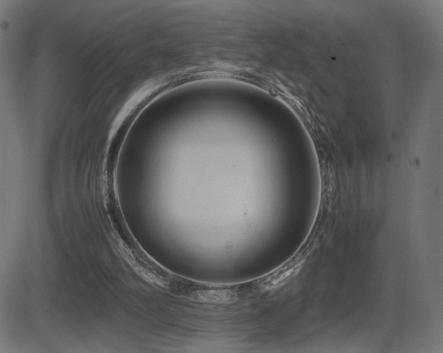 X0000081450102200701121242