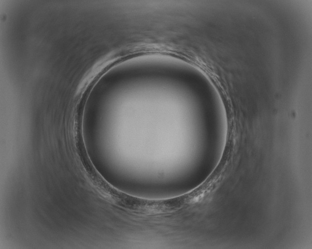 X0000081450103200701121242