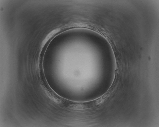 X0000081450104200701121242