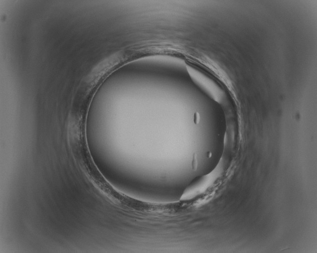 X0000081450105200701121242