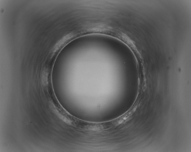 X0000081450106200701121242