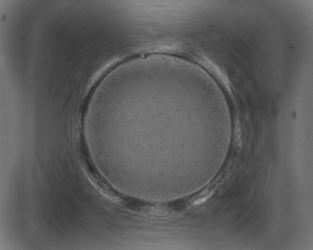 X0000081450107200701121242