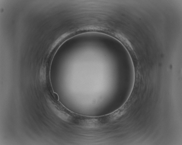 X0000081450108200701121242