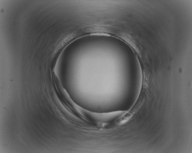 X0000081450109200701121242