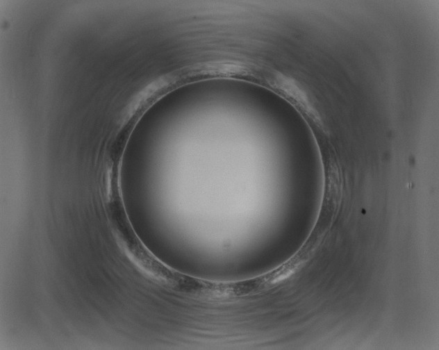 X0000081450110200701121242