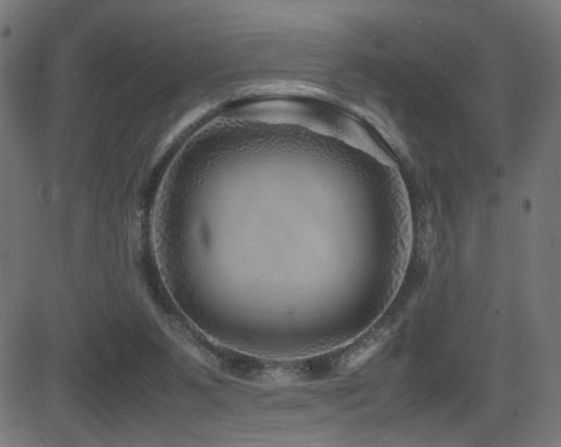 X0000081450111200701121242