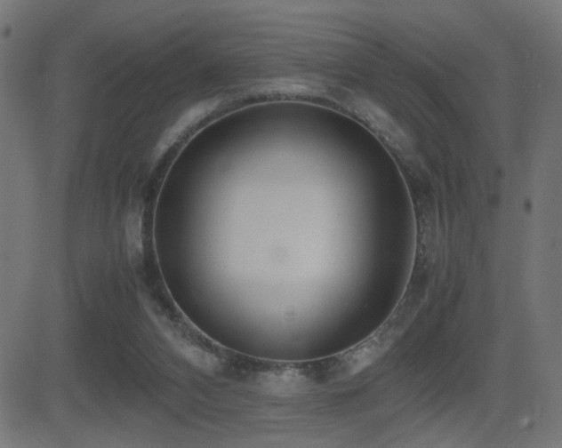 X0000081450112200701121242