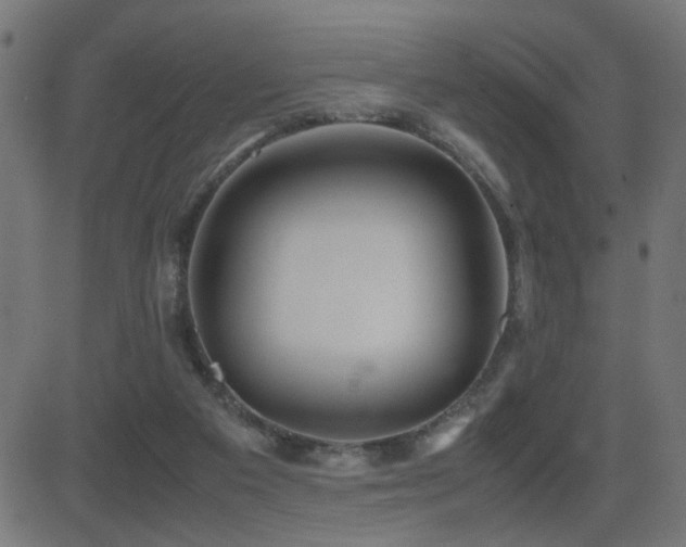 X0000081450113200701121242