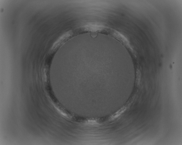 X0000081450114200701121242