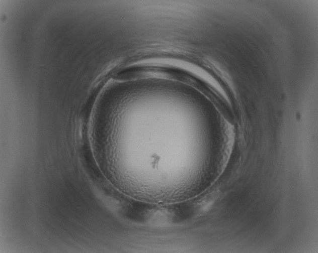 X0000081450115200701121242