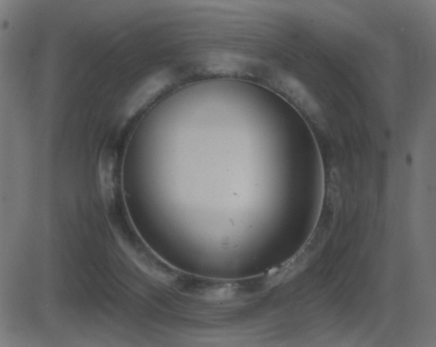 X0000081450116200701121242