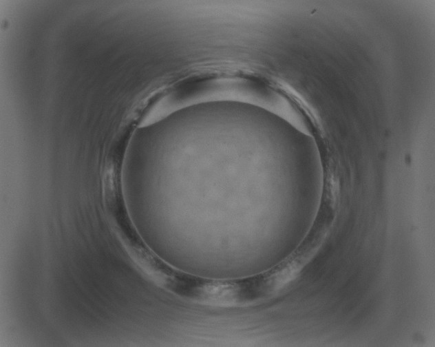 X0000081450117200701121242