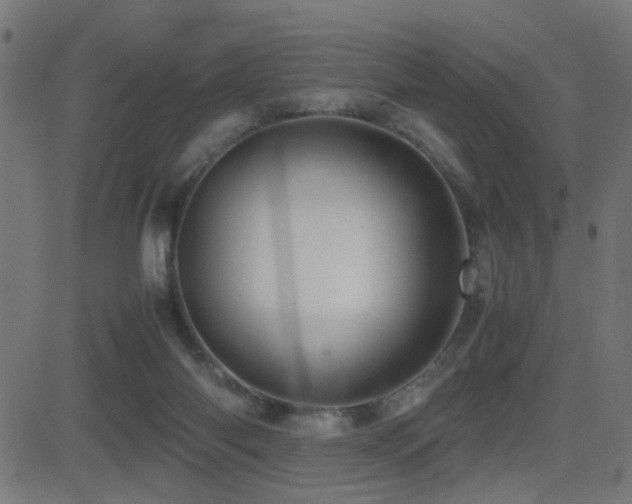 X0000081450118200701121242