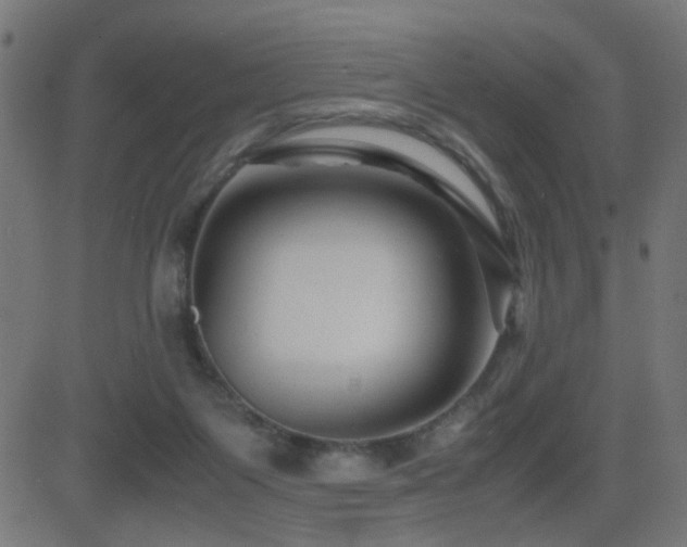 X0000081450119200701121242