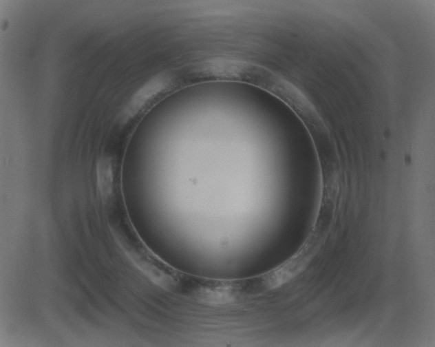 X0000081450120200701121242