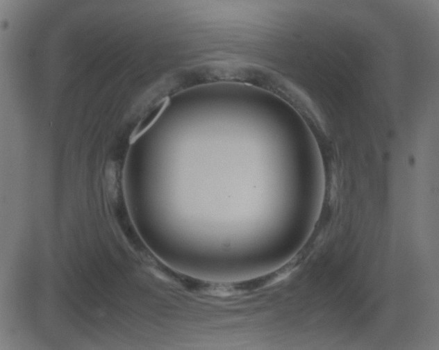 X0000081450121200701121242