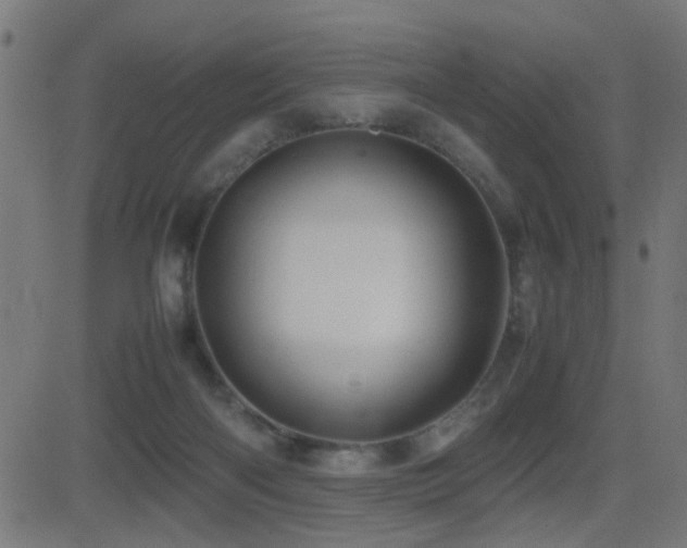 X0000081450122200701121242