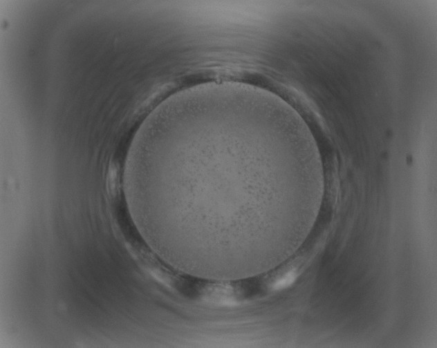 X0000081450123200701121242