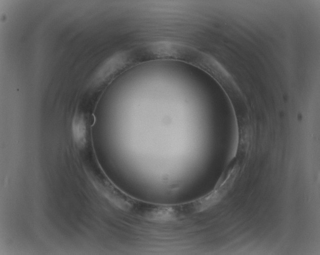 X0000081450124200701121242