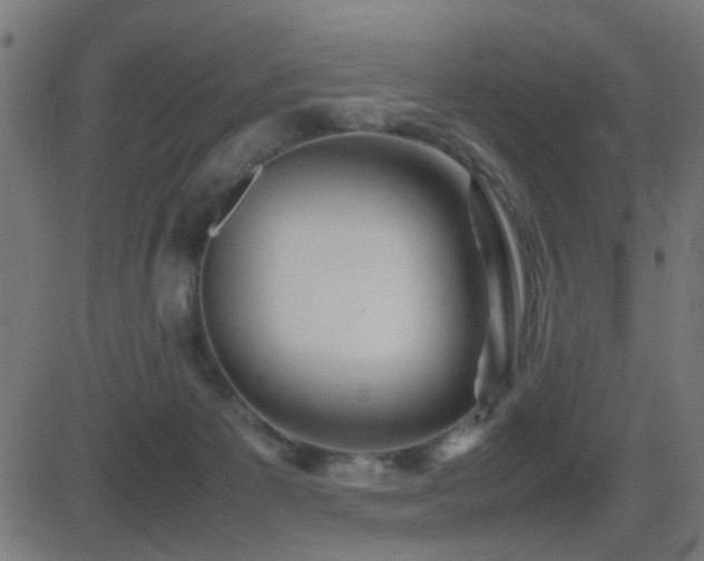 X0000081450125200701121242