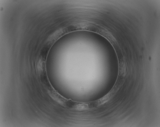 X0000081450126200701121242