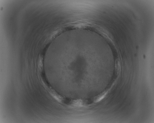 X0000081450127200701121242