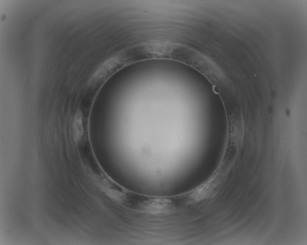 X0000081450128200701121242