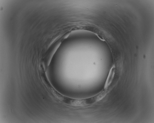 X0000081450129200701121242