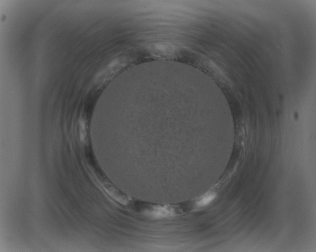 X0000081450130200701121242