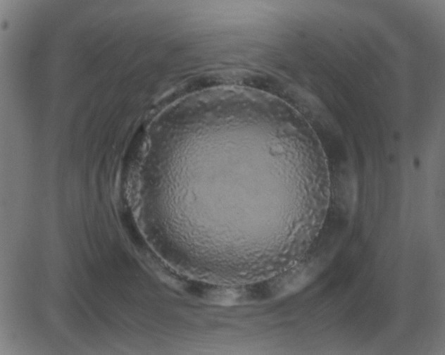 X0000081450131200701121242