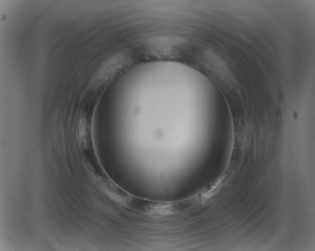 X0000081450132200701121241