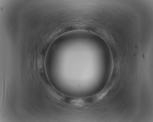 X0000081450133200701121241