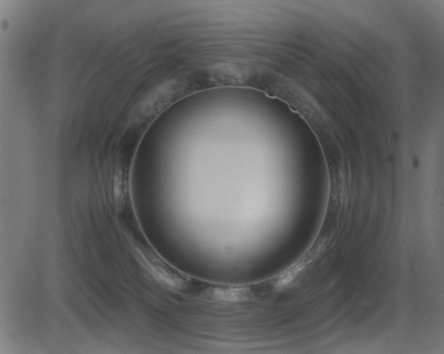 X0000081450134200701121241