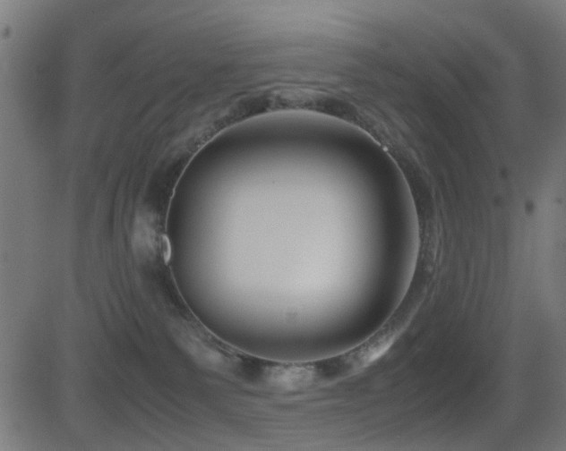 X0000081450135200701121241