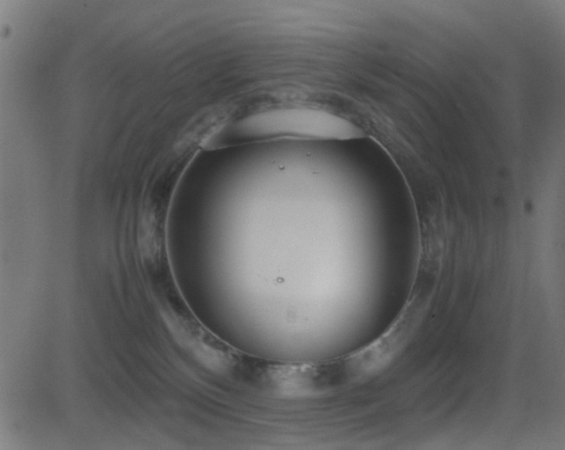 X0000081450136200701121241