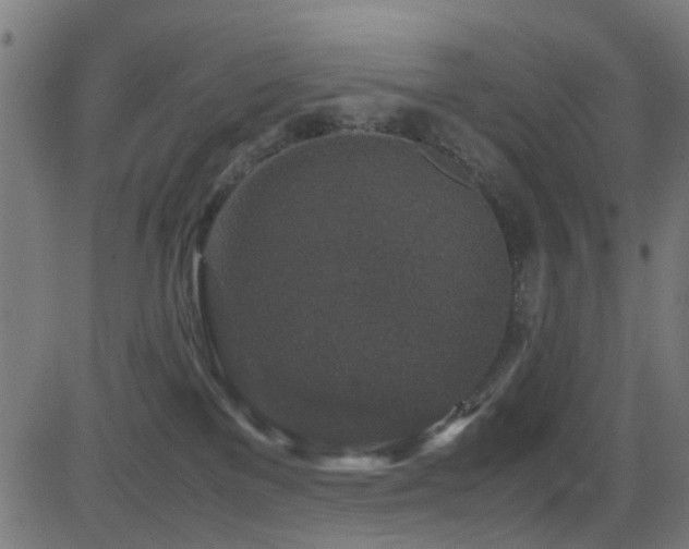 X0000081450137200701121241